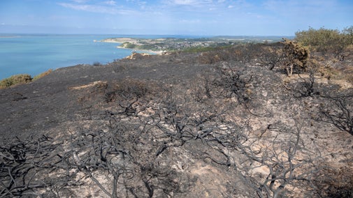 Burnt and barren land shows damage to heathland at Headon Warren in the Isle of Wight